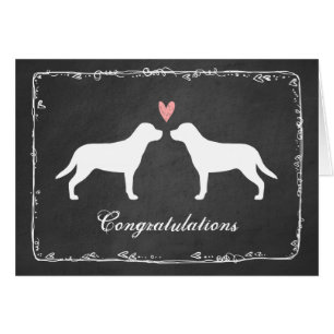Perros de Montaña Suizos Grandes Felicitaciones po