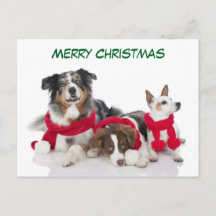 Perros de navidad cute merry