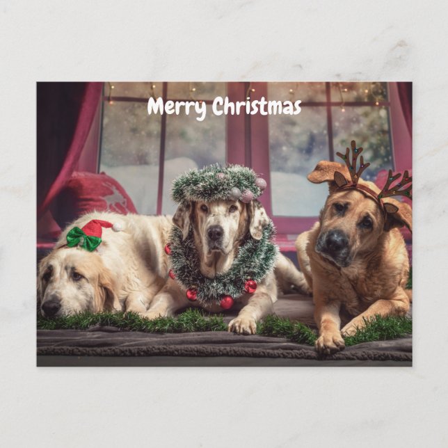 Perros de navidad cute merry (Anverso)