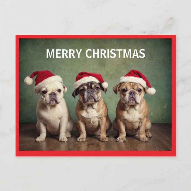 Perros de navidad de Cute Merry (Anverso)