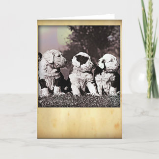 Perros de oveja ingleses al estilo de la tarjeta d