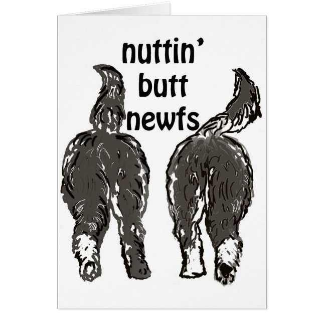 Perros de Terranova (Frente)