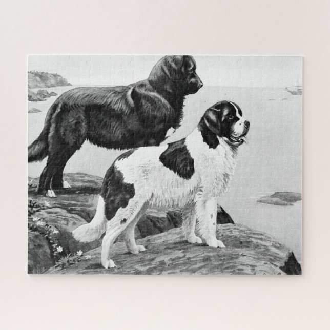Perros de Terranova - rompecabezas de ilustracion  (Horizontal)
