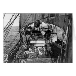 Perros de trineo en el mar