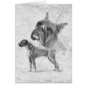 Perros del boxeador
