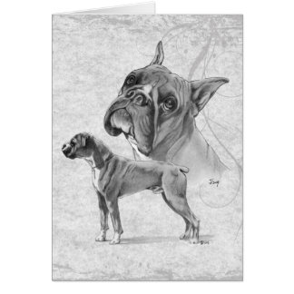 Perros del boxeador