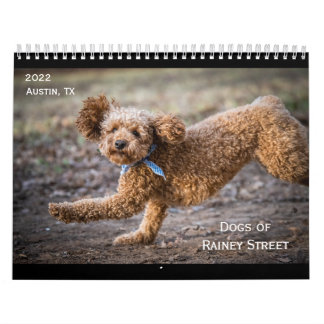 Perros del calendario de Rainey Street