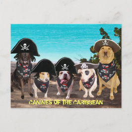 Perros divertidos hablan como postales del Día del