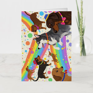 Perros divertidos y bonitos con arco iris