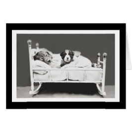 Perros durmientes de Harrier Whittier libres