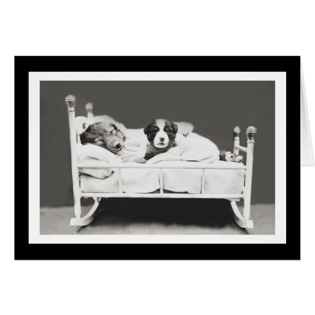 Perros durmientes de Harrier Whittier libres (Anverso (Horizontal))