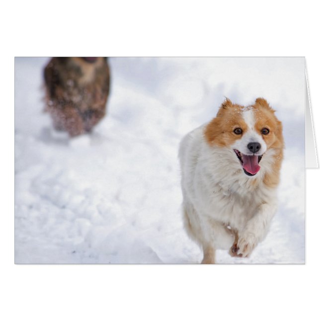 Perros en ejecución (Anverso (Horizontal))