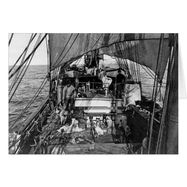 Perros en el mar (Anverso (Horizontal))