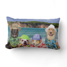 Perros en la almohada de la playa