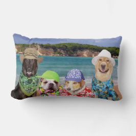 Perros en la almohada de la playa