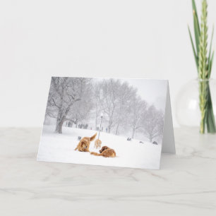 Perros en tarjeta de felicitación común de Boston