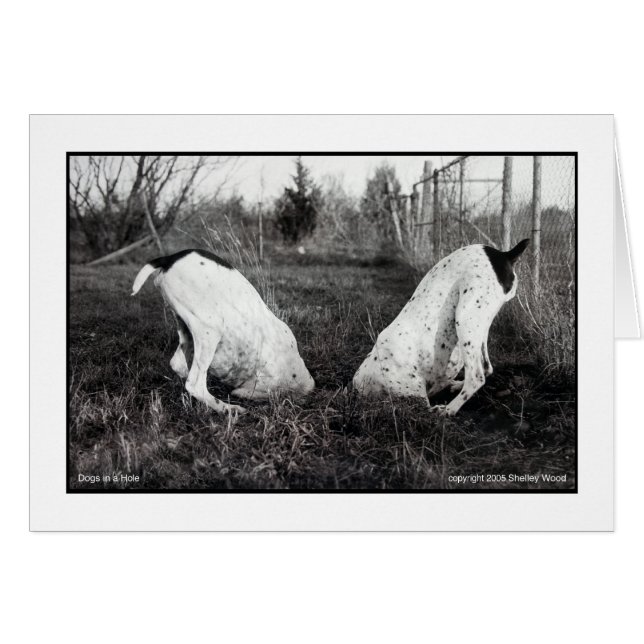 Perros en un agujero (Anverso (Horizontal))