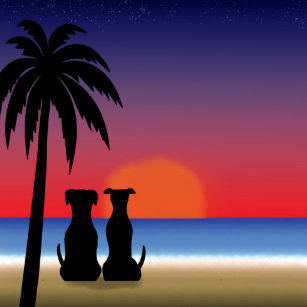 Wallpaper Impresiones La Playa Decoraciones En En Madera Zazzle Es Desktop Wallpaper