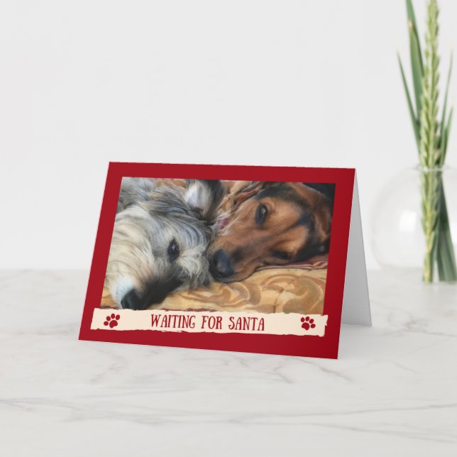 Perros esperando a Santa - Tarjeta divertida de lo (Anverso)