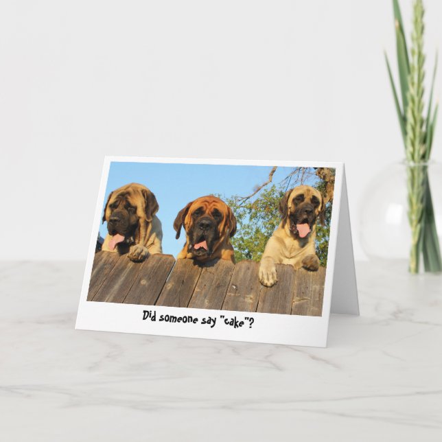 Perros gigantes mirando la tarjeta de cumpleaños d (Anverso)