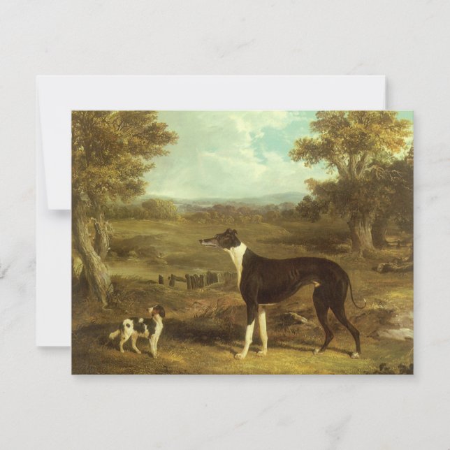 Perros, Greyhound y Spaniel, Médica Fop by Herring (Anverso)