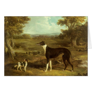 Perros, Greyhound y Spaniel, Médica Fop by Herring