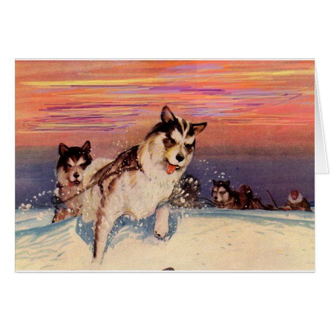 Perros husky siberianos de los años 1940 haciendo  (Anverso (Horizontal))
