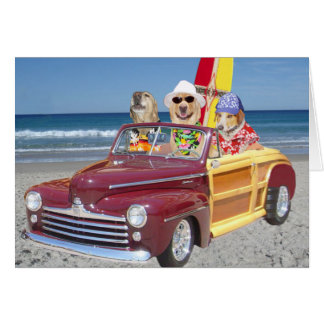 Perros/Laboratorios de Surfistas de Hawái de perso