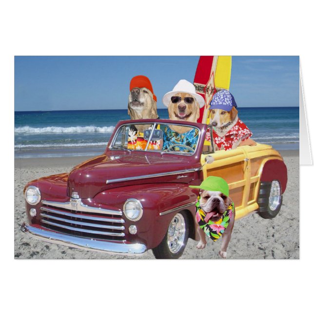 Perros/Labs en la playa (Anverso (Horizontal))