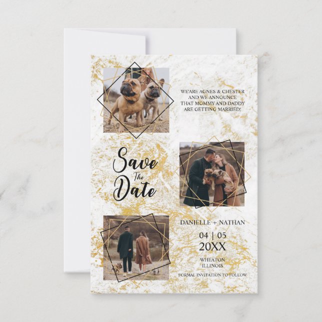 Perros Mascotas Tres Fotos Comprometido Efecto Dor (Anverso)