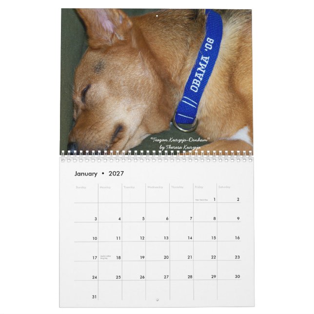 Perros para el calendario de Obama (Jan 2027)