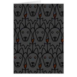 Perros pastor belgas