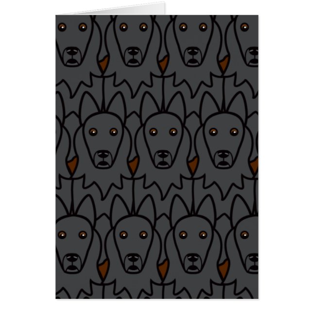 Perros pastor belgas (Frente)