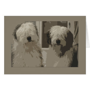 Perros pastor ingleses viejos