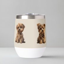 Perros pequeños y pequeños | Adorables amantes del