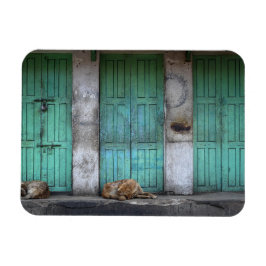 Perros perdidos frente al imán rectangular de puer