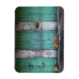 Perros perdidos frente al imán rectangular de puer