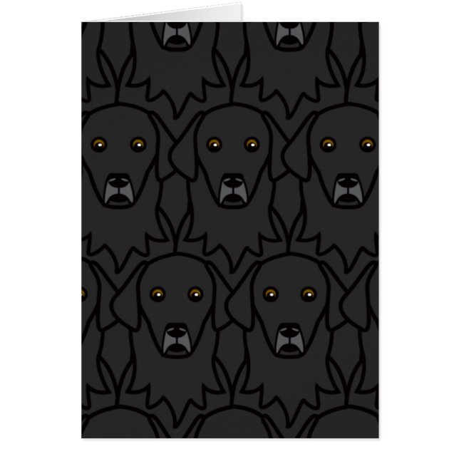 Perros perdigueros Plano-Revestidos (Frente)