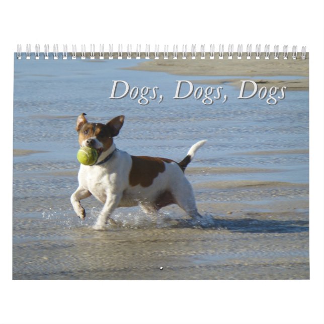 Perros, perros, calendario de perros (Tapa)