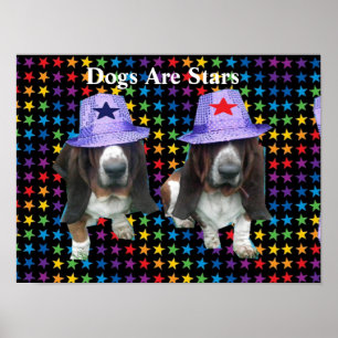 Perros posters son estrellas