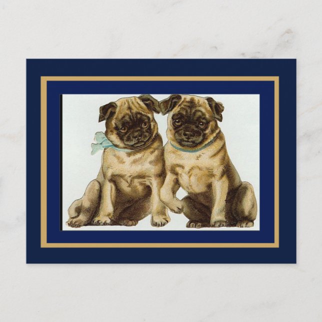 Perros Pug Vintage Tarjeta Postal (Anverso)