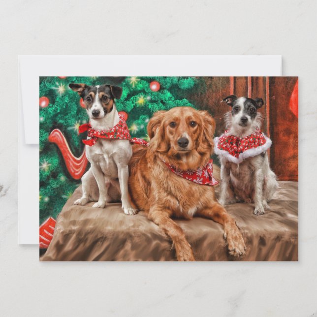 Perros que celebran navidad (Anverso)