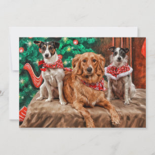 Perros que celebran navidad