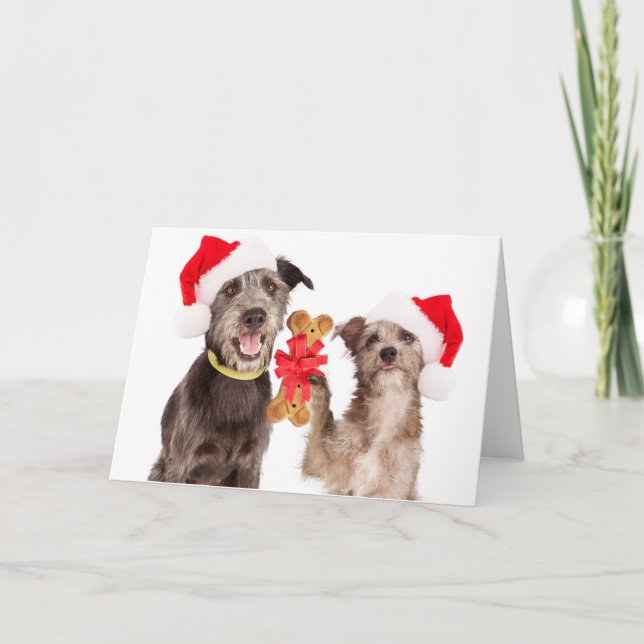 Perros que comparten la tarjeta de Navidad de la (Anverso)