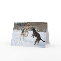 Perros que se divierten en el navidad de la nieve