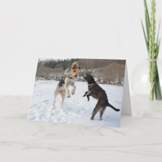 Perros que se divierten en el navidad de la nieve