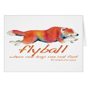 Perros reales de Flyball