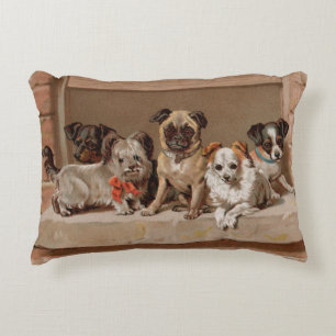 Perros Vecinos Acentos Almohada