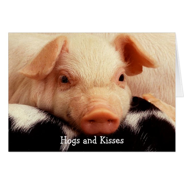 Perros y besos (Anverso (Horizontal))