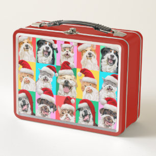 Perros y Gatos con Barba de Santa